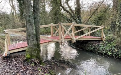 Built Bridge in Warmford